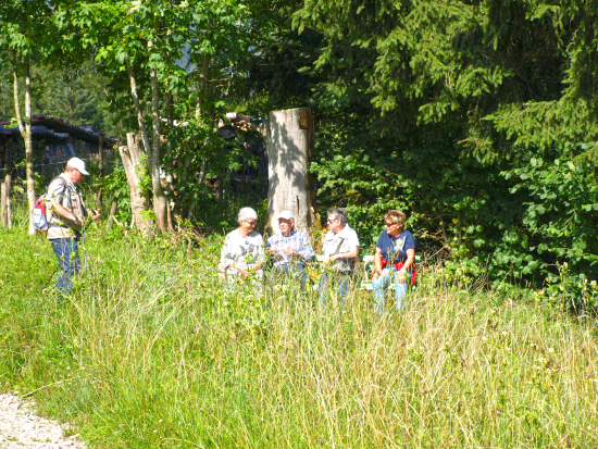 Jahresausflug 2019